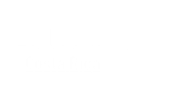 Overland Evolución